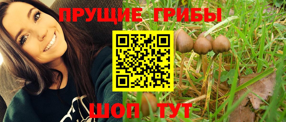 Ростов Великий  Галлюциногенные грибы мухоморы  купить наркотик  Вход с VPN  Псилоцибиновые грибы Psilocybe 