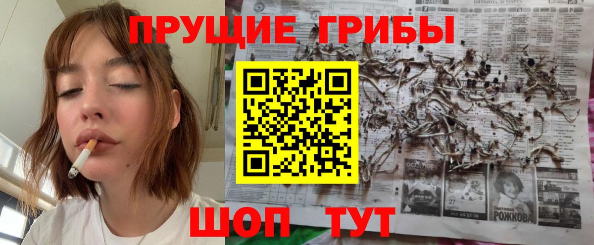 Псилоцибиновые грибы прущие грибы Ростов Великий